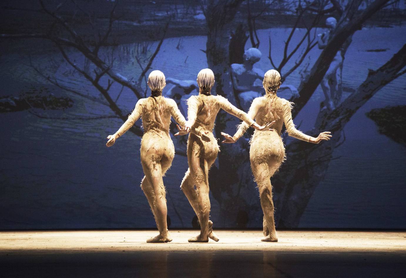A trio of women stands with their back turned as a video of a river plays